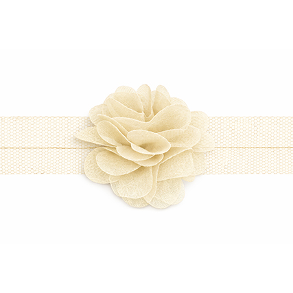 Nastro organza con fiori - Avorio